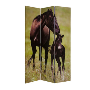 HomeRoots 48" X 72" Multi Color Canvas Screen - Elegant Three-Panel Room Divider with Stunning Equine Art 274695