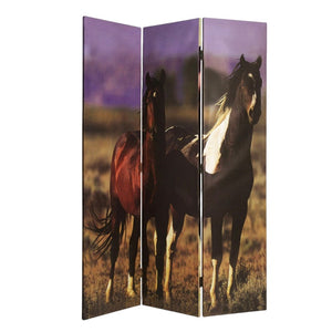 HomeRoots 48" X 72" Multi Color Canvas Screen - Elegant Three-Panel Room Divider with Stunning Equine Art 274695