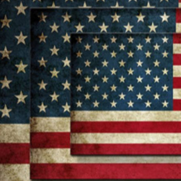 HomeRoots America Flag Unframed Print Wall Art - Bold Contemporary Canvas Decor for Home or Office Spaces 274789