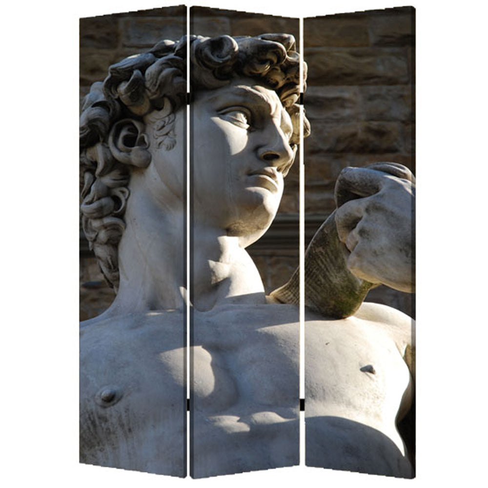 Homeroots 48" X 72" Multi Color Wood Canvas Rome  Screen  Cotton Canvas 274866