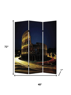 HomeRoots 48" Multi Color Wood Canvas Rome Folding Screen - Stylish Room Divider & Decorative Backdrop 274866