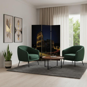 HomeRoots 48" Multi Color Wood Canvas Rome Folding Screen - Stylish Room Divider & Decorative Backdrop 274866