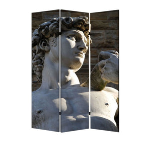 HomeRoots 48" Multi Color Wood Canvas Rome Folding Screen - Stylish Room Divider & Decorative Backdrop 274866