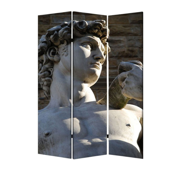 HomeRoots 48" Multi Color Wood Canvas Rome Folding Screen - Stylish Room Divider & Decorative Backdrop 274866