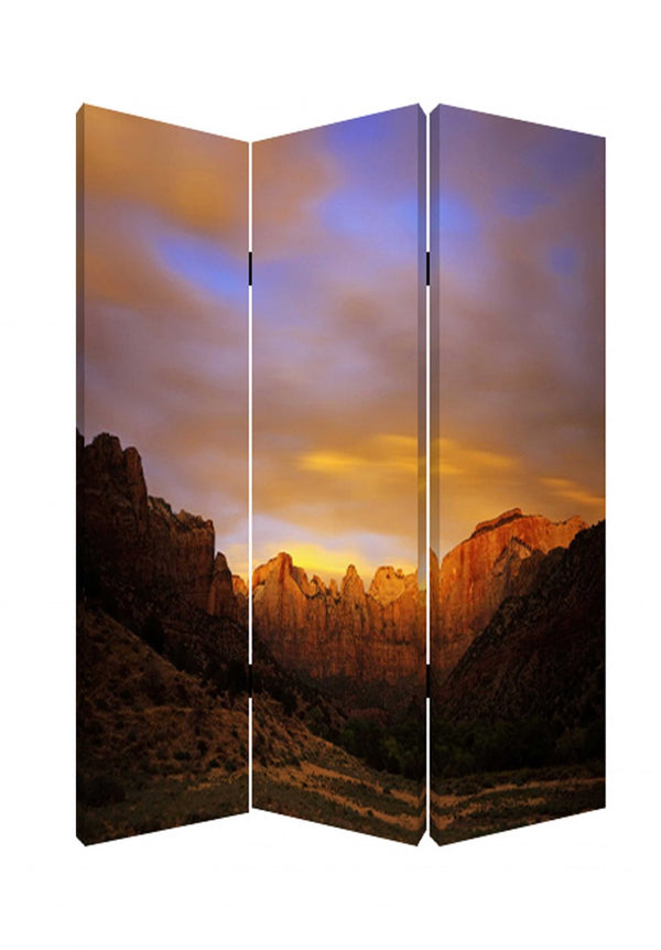 HomeRoots 48 Multi-Color Wood Canvas Room Divider Screen – Stylish, Lightweight, Versatile & Foldable Design 277079