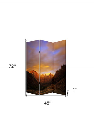HomeRoots 48 Multi-Color Wood Canvas Room Divider Screen – Stylish, Lightweight, Versatile & Foldable Design 277079