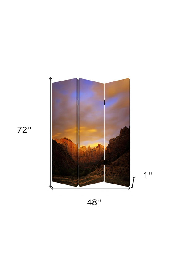HomeRoots 48 Multi-Color Wood Canvas Room Divider Screen – Stylish, Lightweight, Versatile & Foldable Design 277079