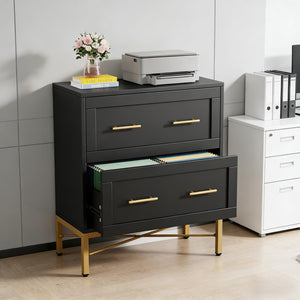 English Elm Multi-functional Nordic Filing Cabinet White Two Drawer Gold Handle Home Office Storage Black T3971P449965