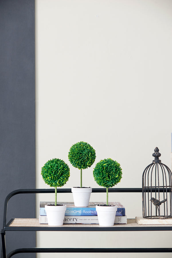 English Elm S/3 Mini Faux Topiaries in Cream Pots — Set of 3 Table Centerpiece, Lifelike Greenery for Home Decor W2078P294233