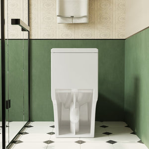 English Elm 1.1/1.6 Gpf Ceramic One Piece Toilet Skirted Comfort Height Dual Flush Soft Close B2724P246931