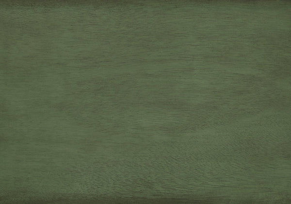 English Elm Accent Coastal Nightstand with Drawer & Cabinet, Antique Green Veneer, 25" High, MDF, Transitional Style B2710P219461