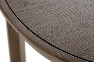 Homeroots 25" Walnut Wood And Veneer Side Table   283024