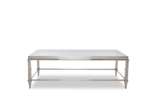 Homeroots 55" Clear And Silver Glass And Steel Coffee Table   283428