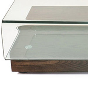 Homeroots 13" Elm Veneer And Glass Coffee Table   283448