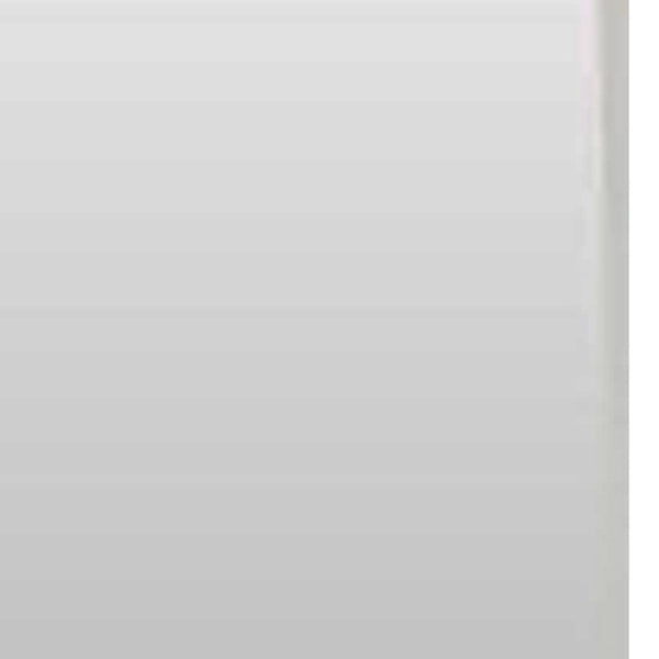 Homeroots 47" White Framed Accent Mirror  Glass 283552