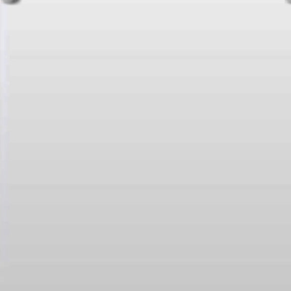 Homeroots 47" White Framed Accent Mirror  Glass 283552