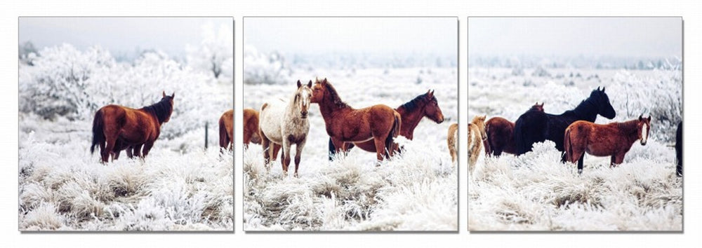HomeRoots Set of Three Contemporary Animal-Themed White Canvas Prints for Stylish Home Decor Impact 284005