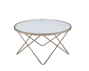 Homeroots 34" X 34" X 18" Frosted Glass Champagne Coffee Table Frosted Glass  286256