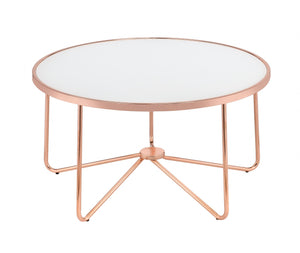 Homeroots 34" X 34" X 18" Frosted Glass And Rose Gold Coffee Table Frosted Glass  286260