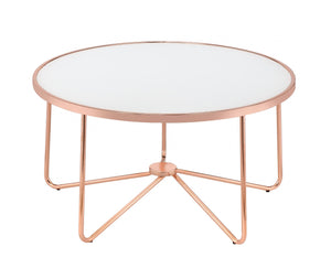 Homeroots 34" X 34" X 18" Frosted Glass And Rose Gold Coffee Table Frosted Glass  286260