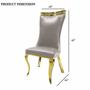 English Elm Silver 2pc Side Chair Set with Gold Legs, Tiger Print Upholstered Seats, Modern Dining Comfort 26"W B2741S00726