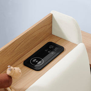 English Elm Twin Size Velvet Day Bed With Storage Drawers, Wireless Charging & Led Lights - Elegant & Functional W1413S00109-GIGA