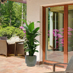 English Elm 3 Pieces Ceramic Flowerpot Set - Handcrafted Antique Light Green Planters For Stylish Spaces W3273P321545