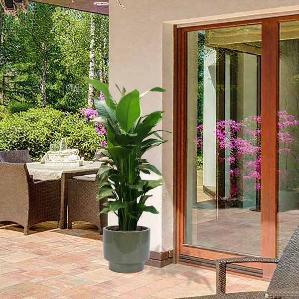 English Elm 3 Pieces Ceramic Flowerpot Set - Handcrafted Antique Light Green Planters For Stylish Spaces W3273P321545