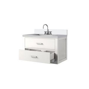 English Elm White 30 in Single Bath Vanity with White Quartz Top, Chrome Gooseneck Faucet, Soft-Close Drawers, Solid Wood Frame B2731P257945