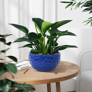 English Elm 3 Pieces Ceramic Planter Pot Set - Artisan Antique Blue Flowerpots For Indoor And Outdoor Spaces W3273P321523