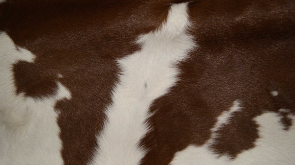 HomeRoots 2' X 3' Hand-Tufted Brown and White Cowhide Print Area Rug - Rustic Charm for Any Space! 293165