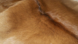HomeRoots 2' X 3' Tan Print Cowhide Area Rug - Handcrafted Unique Accent for Cozy Living Spaces & Style 293166
