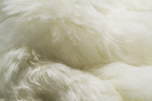 HomeRoots 2' X 3' White Animal Print Area Rug - Luxurious Sheepskin, Handcrafted, Unique Accent for Any Space 293181