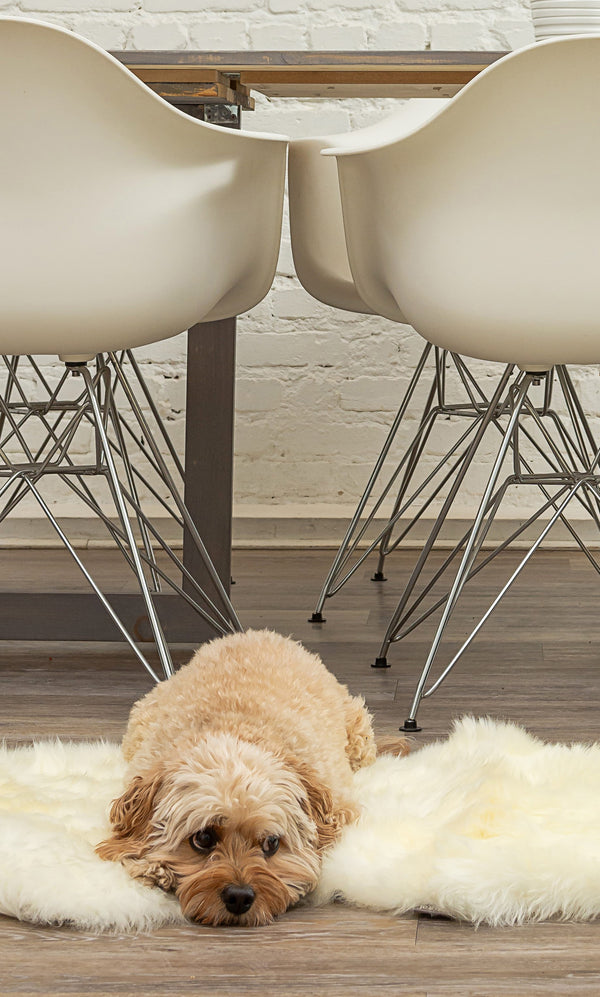 Homeroots 2' X 3' White Natural New Zealand Sheepskin Wool Area Rug Natural Genuine Sheepskin 293188