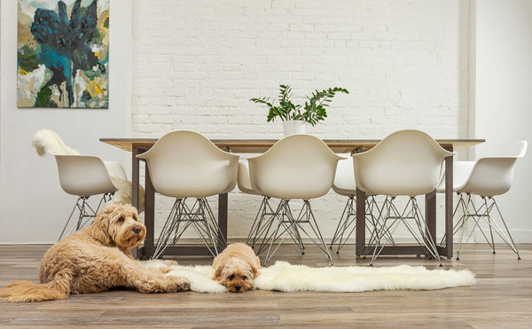 Homeroots Natural Animal Print Area Rug  Genuine Sheepskin 293193