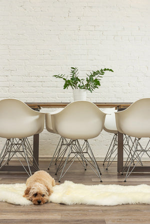 HomeRoots 6' Genuine Sheepskin Animal Print Shag Area Rug - Luxurious, Cozy, and Unique Accent for Any Space! 293193