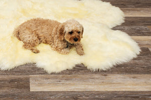 Homeroots 6' X 6' Natural Sheepskin Non Skid Area Rug  Genuine Sheepskin 293197
