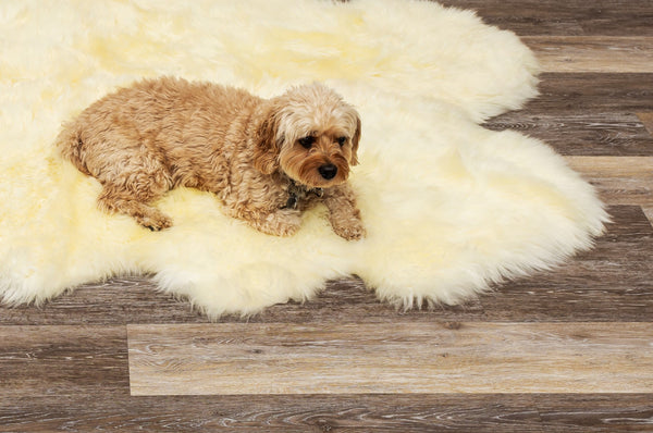 Homeroots 6' X 6' Natural Sheepskin Non Skid Area Rug  Genuine Sheepskin 293197