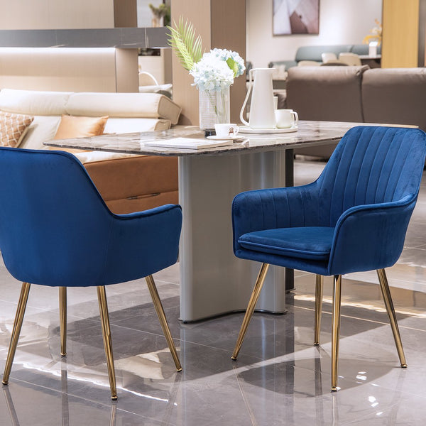 English Elm Velvet Mid-Back Dining Chairs Set of 2 with Gold Plated Legs, Plush Upholstery, Removable Cushions, Ergonomic Support Blue W3394P329172