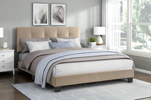 English Elm 1pc Queen Platform Bed Brown Velvet Upholstered with Button Tufted Adjustable Headboard, Low-Profile Solid Wood Frame 42" H Light Brown 65.5 L x 26 W x 5 H B011P203573