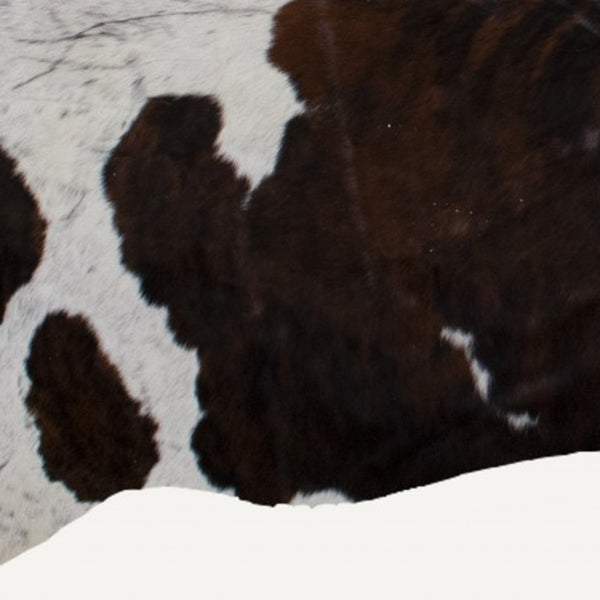 Homeroots 72" X 84" Tricolor Cowhide - Rug Tricolor Cowhide 294259