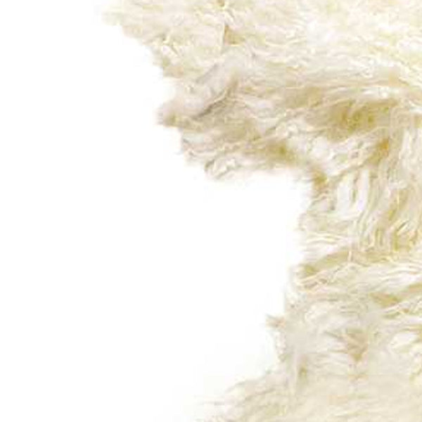 Homeroots 2' X 3' Natural New Zealand Sheepskin Wool Area Rug Natural Genuine Sheepskin 294268