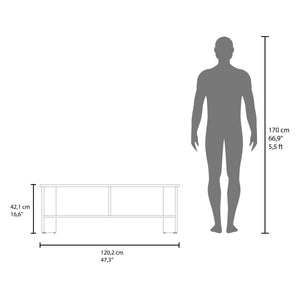 English Elm Navia sleek 47" TV stand with two open shelves for consoles, media storage and modern compact style Black 53 L x 18 W x 4 H B200P286939