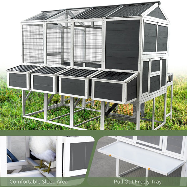 English Elm Chicken Coop Walk-in Cedar Structure with Nesting Boxes for Backyard Flocks W1850S00009