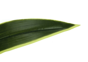 English Elm Artificial Dracaena Floor Tree 47 Inch Faux Real Touch Leaves Black Pot Decor B2710P220041