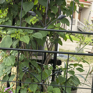 English Elm Metal Garden Trellis Set - Durable 2-Piece Climbing Plant Support For Stylish Indoor/Outdoor Decor W840P321536