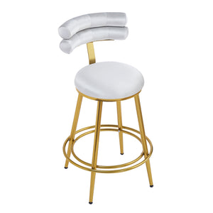 English Elm Christopher Knight Home® - 27.65'' 27.65" Modern Counter Stools Set of 2 with Luxurious Velvet Upholstery, Ergonomic Curved Back, Iron Frame & Footrest Light Gray N780P194940W