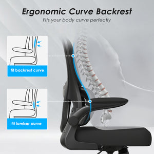 English Elm Office Mesh Ergonomic Chair with Tailored Lumbar Support, Flip Armrests, Breathable Mesh, 350lb Capacity, Adjustable Tilt and Height Black T3623P380856