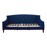 English Elm Lucy Upholstered Button Tufted Sofa Bed, Navy Blue Velvet