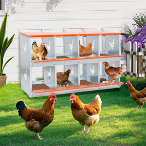 English Elm 8-bay Galvanized Steel Wall Mount Nesting Box for Backyard Hens with Vented Design W1422P355411